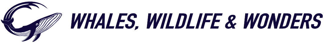 Whales Wildlife and Wonders